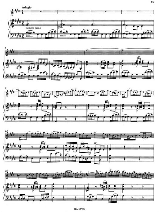 Concerto for Violin, Strings and Basso Continuo E  major BWV 1042