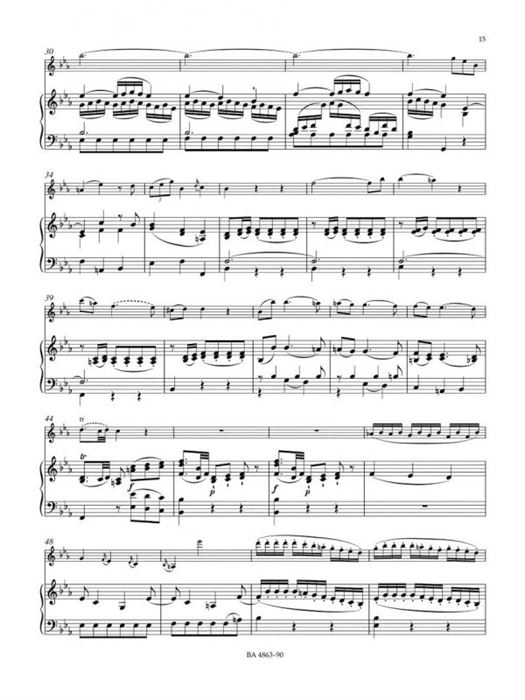 Violin Concerto No. 1 in B-flat maj K. 207