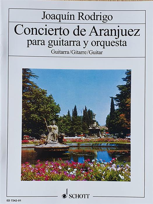 Rodrigo - Concierto de Aranjuez (Guitar Solo)